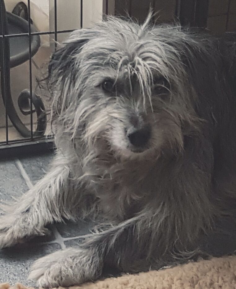 Fidji blue DES DRAYERES