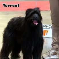 Torrent DES DRAYERES